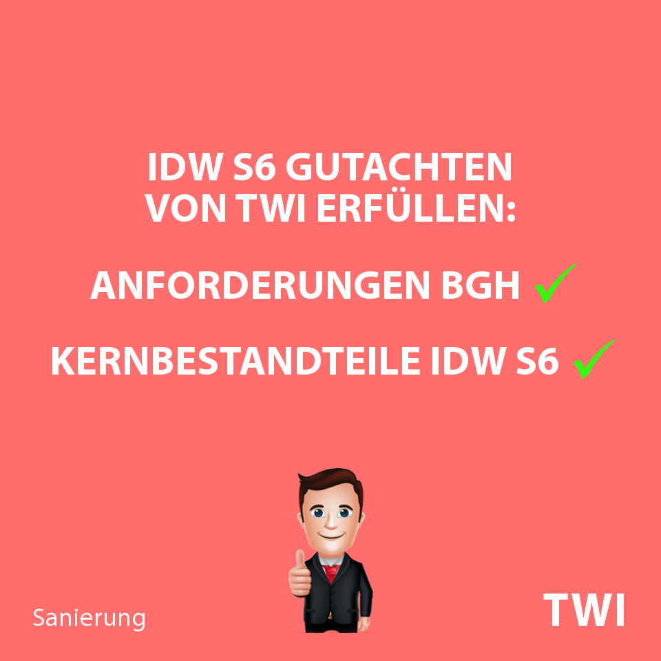 Textbild zu IDW S6 Gutachten: "TBI Sanierungsgutachten nach IDW S 6: Anforderungen BGH Kernbestandteile IDW"