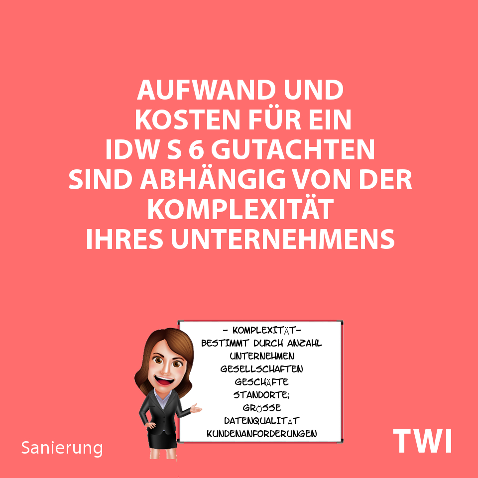 Textbild: Aufwand und Kosten für ein IDW S6 Gutachten sind abhängig von der Komplexität Ihres Unternehmens".