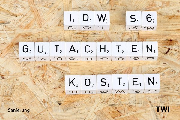 idw-s6-gutachten-kosten Worte "IDW S6 Gutachten Kosten" mit Buchstabenwürfel geschrieben